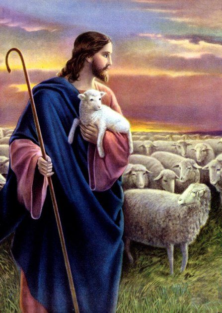 Jesus Christ the good shepherd of the sheep shed His blood for your sins on the cross and by His stripes you are healed